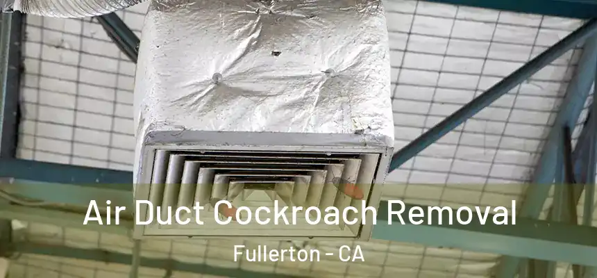 Air Duct Cockroach Removal Fullerton - CA