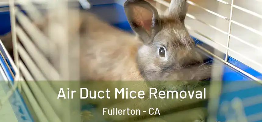 Air Duct Mice Removal Fullerton - CA