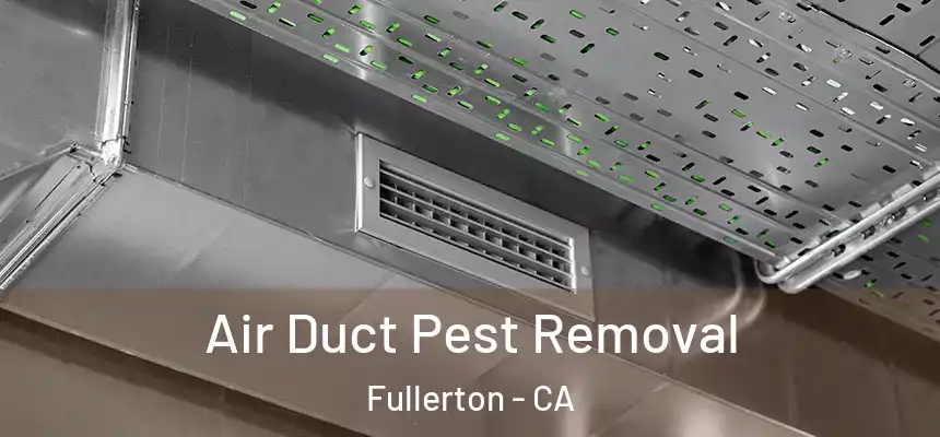 Air Duct Pest Removal Fullerton - CA