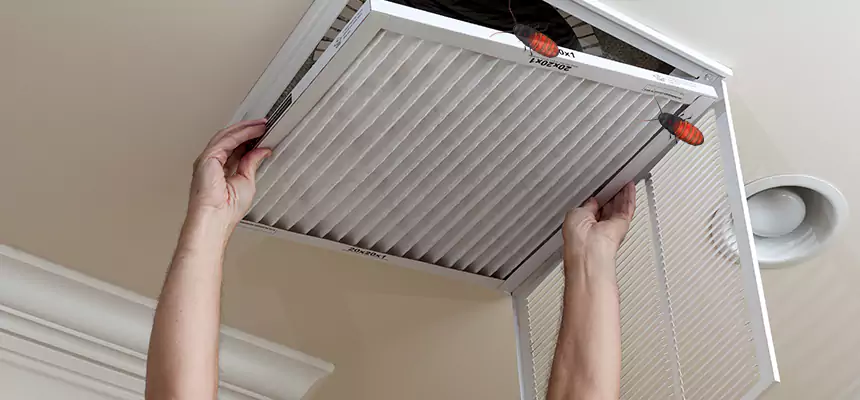 Our Insect Removal from Air Ducts Services in Fullerton, CA