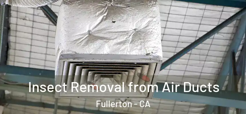  Insect Removal from Air Ducts Fullerton - CA