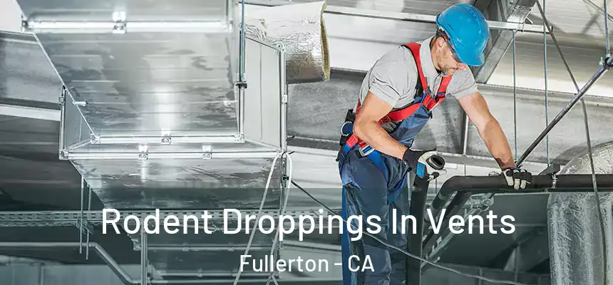 Rodent Droppings In Vents Fullerton - CA