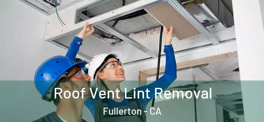 Roof Vent Lint Removal Fullerton - CA