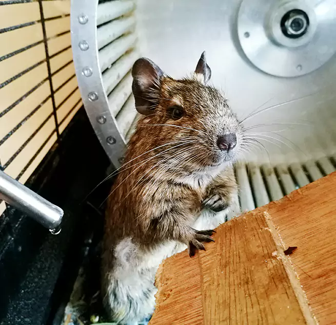 Why Homeowners & Businesses Trust Us Fullerton, CA