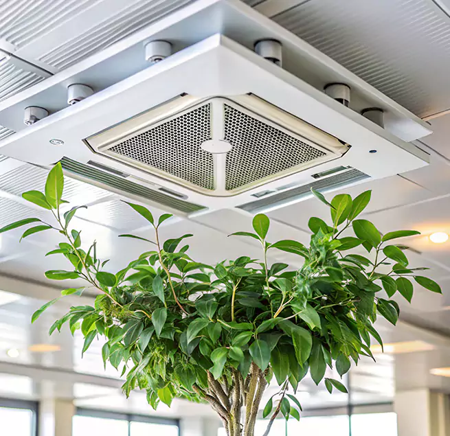 Why Homeowners & Businesses Trust Us in Fullerton, CA?